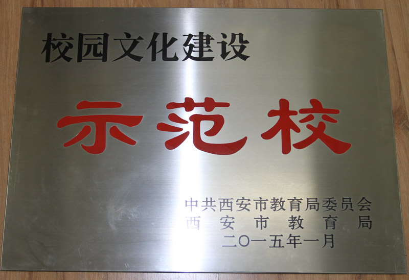 电子pg下载入口