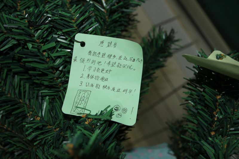电子pg下载入口