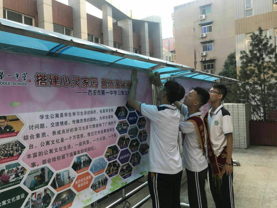 电子pg下载入口