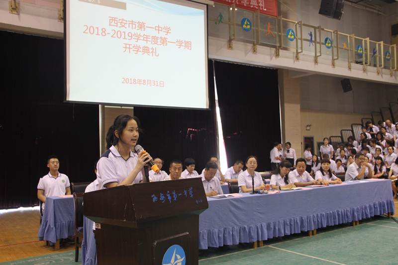 电子pg下载入口