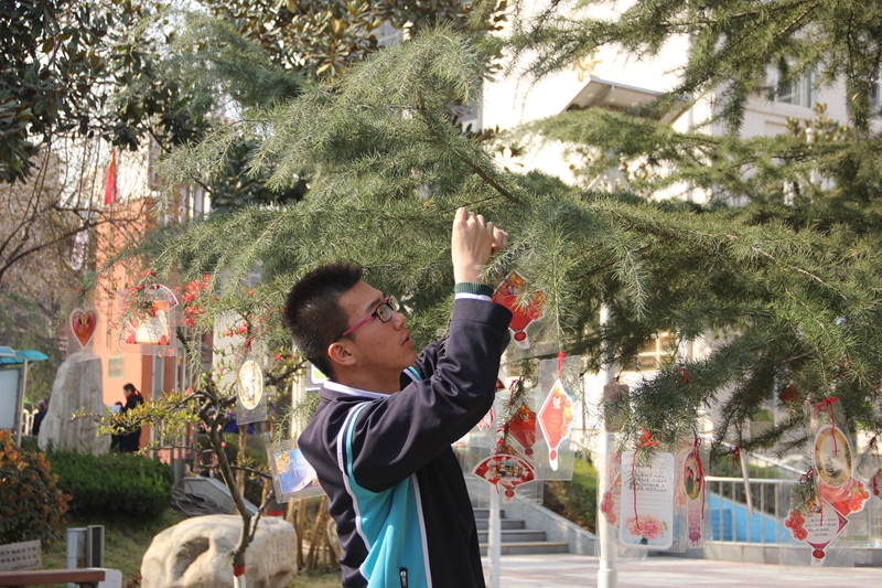 电子pg下载入口