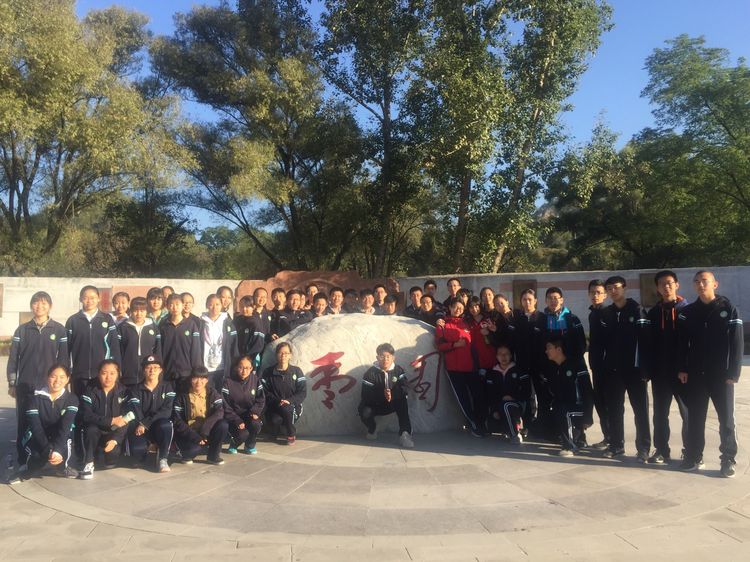 电子pg下载入口