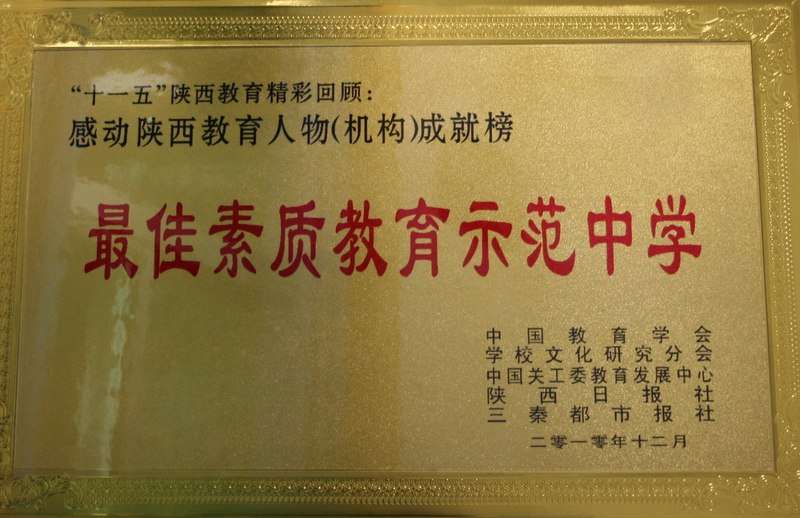 电子pg下载入口