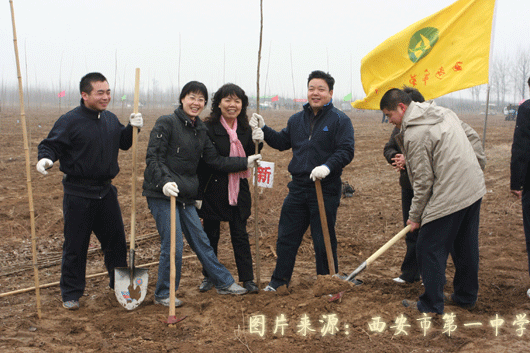 电子pg下载入口