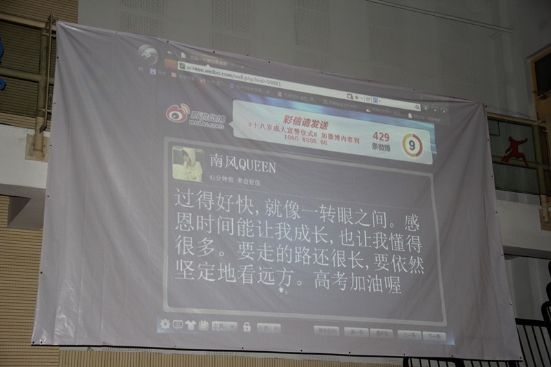 电子pg下载入口