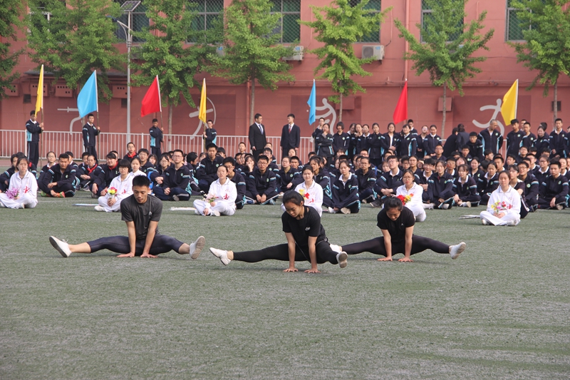 电子pg下载入口