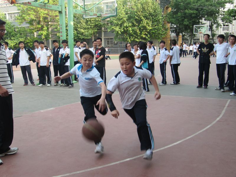 电子pg下载入口