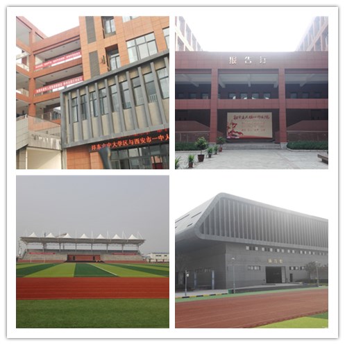 电子pg下载入口