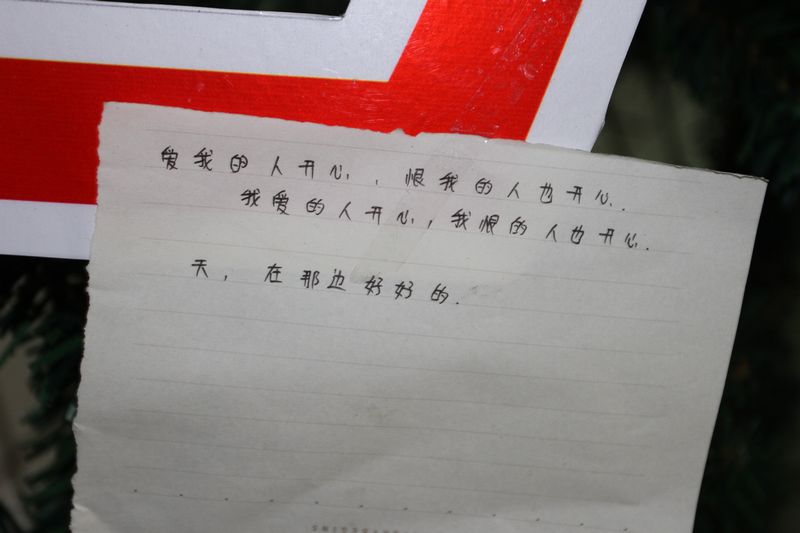 电子pg下载入口