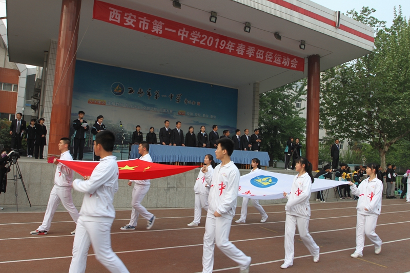 电子pg下载入口