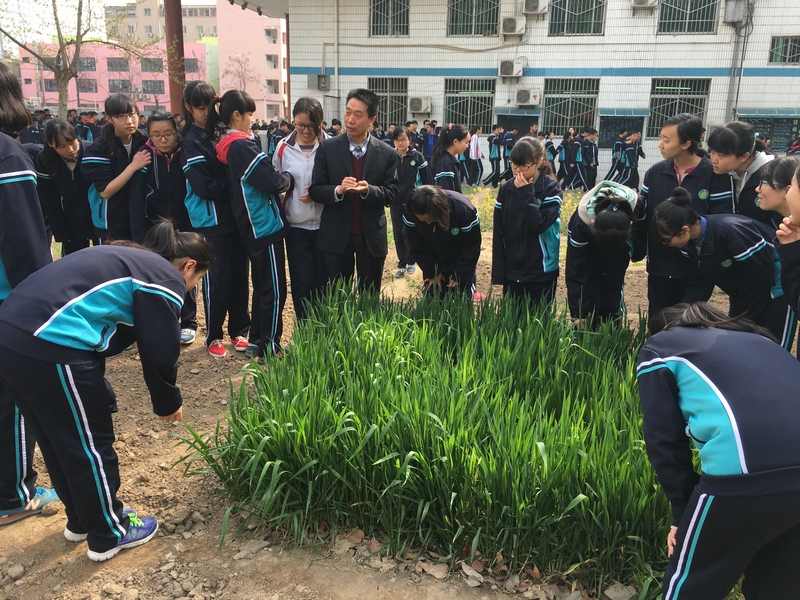 电子pg下载入口