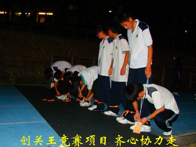 电子pg下载入口