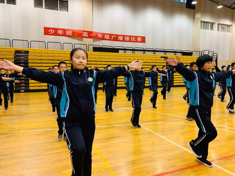 电子pg下载入口