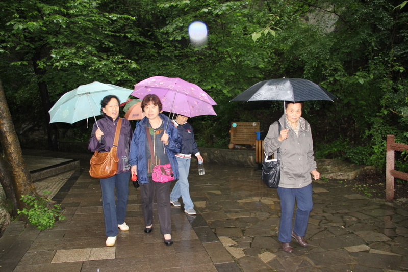 电子pg下载入口