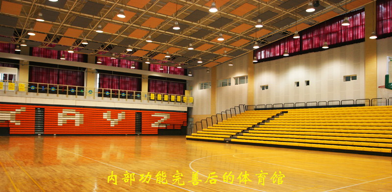 电子pg下载入口