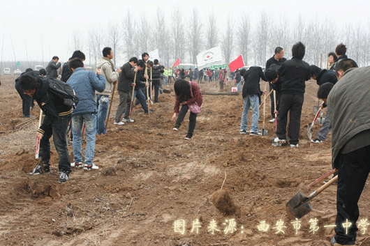 电子pg下载入口