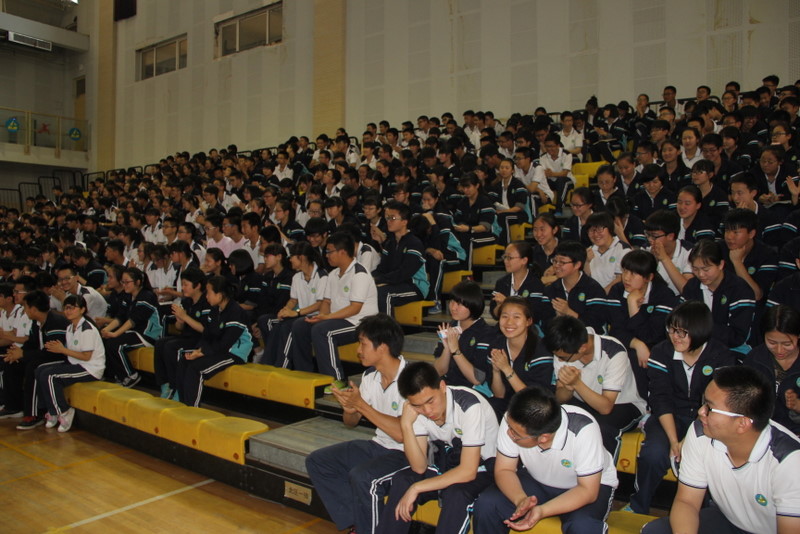 电子pg下载入口
