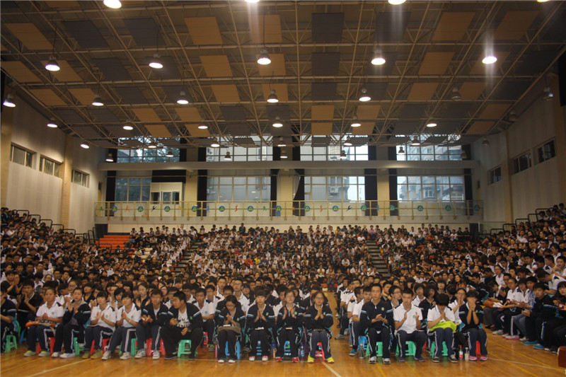 电子pg下载入口
