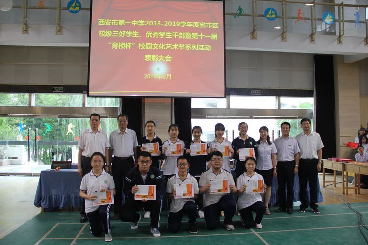 电子pg下载入口