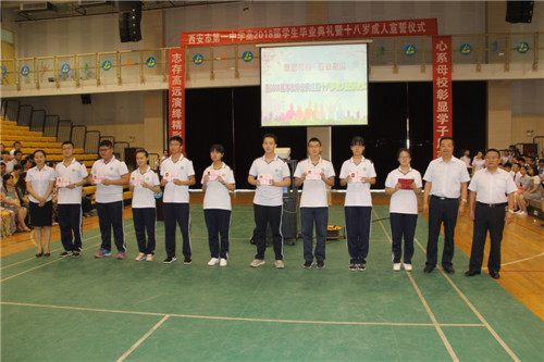 电子pg下载入口