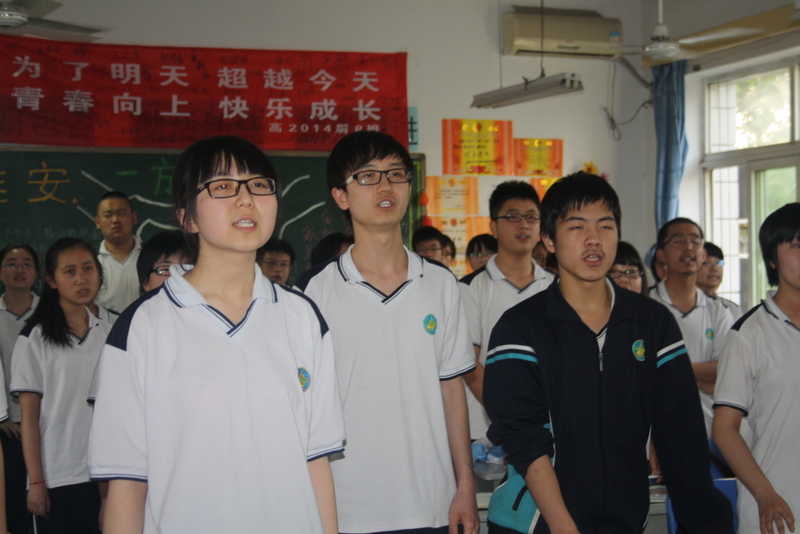 电子pg下载入口