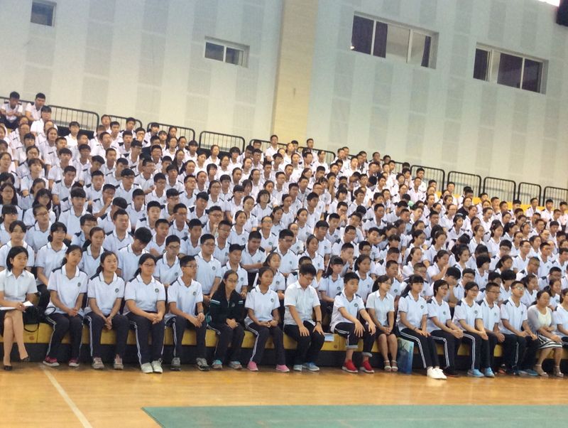 电子pg下载入口