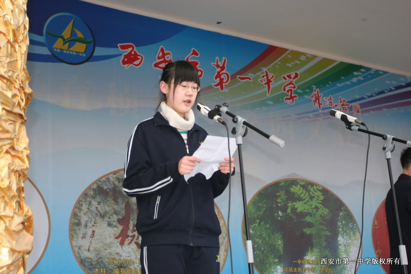 电子pg下载入口