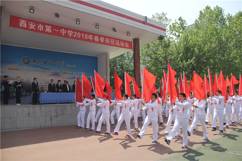 电子pg下载入口