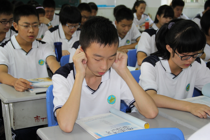电子pg下载入口