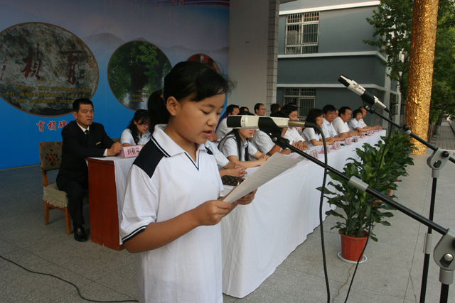 电子pg下载入口