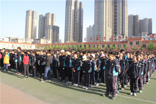 电子pg下载入口