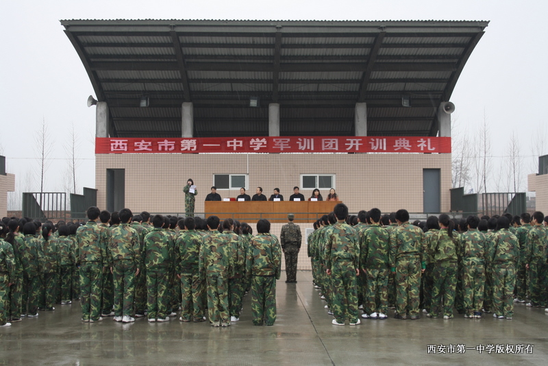 电子pg下载入口