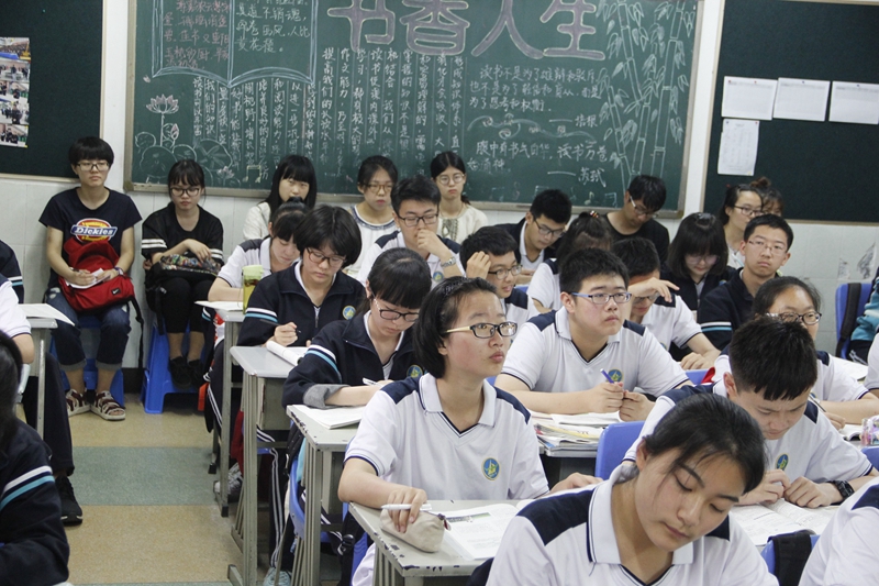 电子pg下载入口