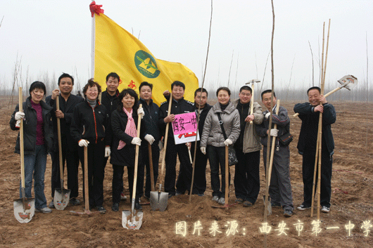 电子pg下载入口