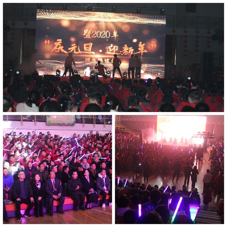 电子pg下载入口