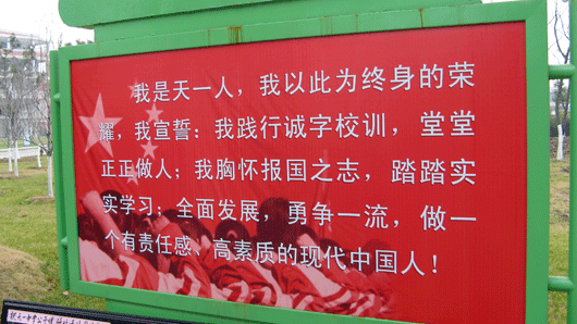 电子pg下载入口