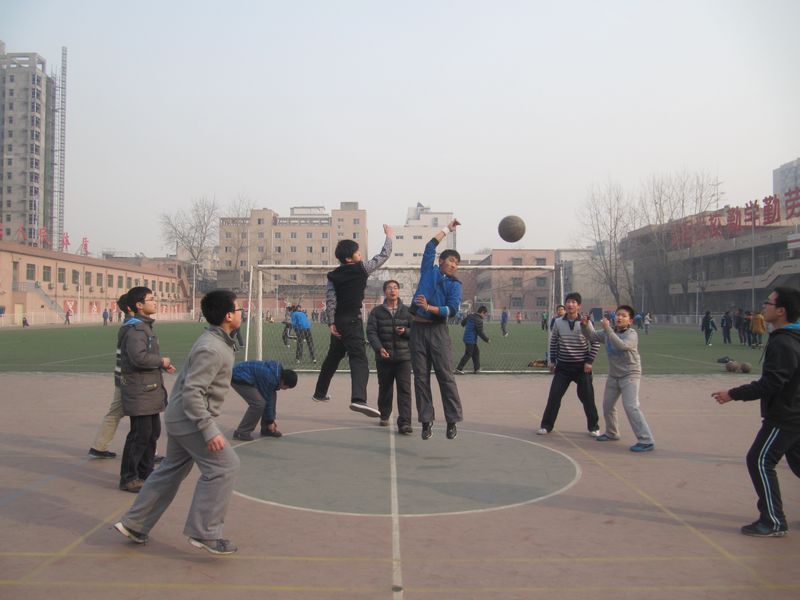 电子pg下载入口