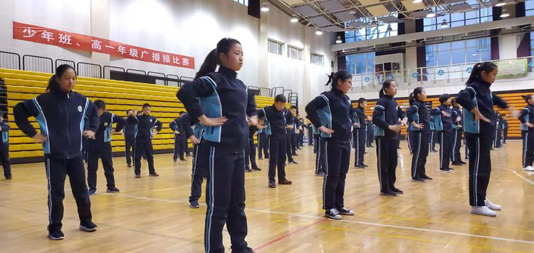 电子pg下载入口