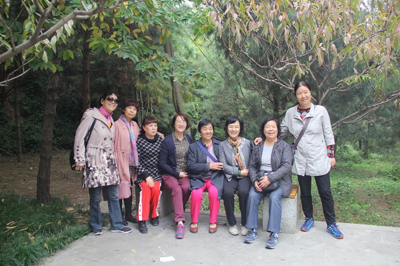 电子pg下载入口