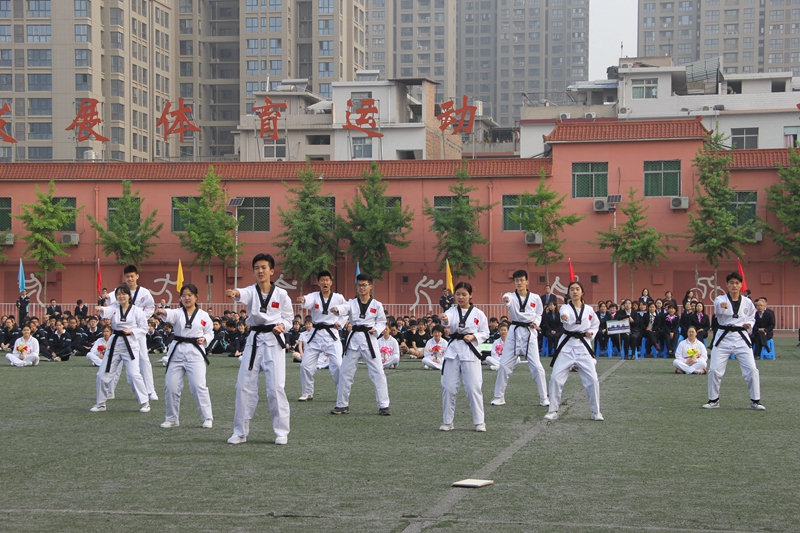 电子pg下载入口