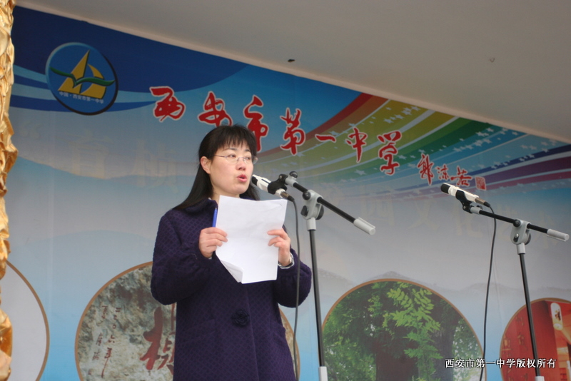 电子pg下载入口