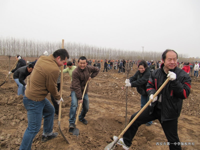 电子pg下载入口