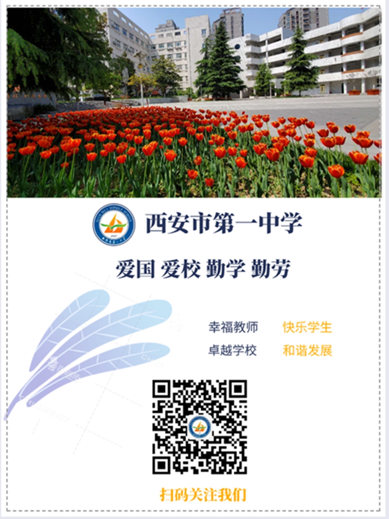 电子pg下载入口