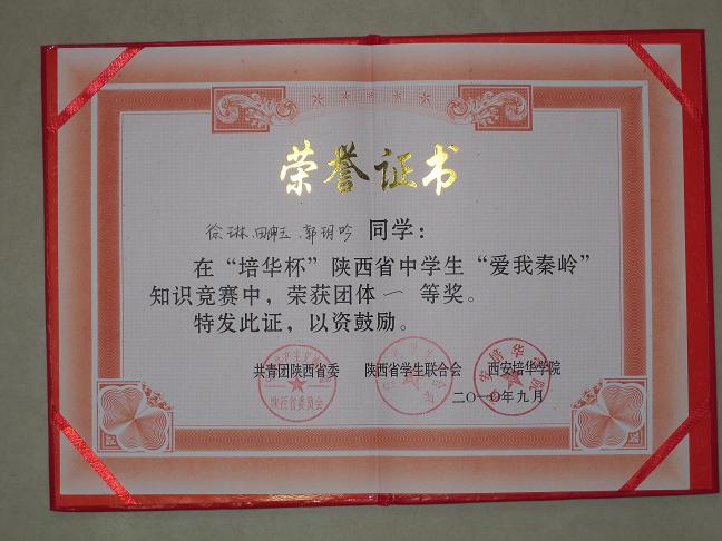 电子pg下载入口