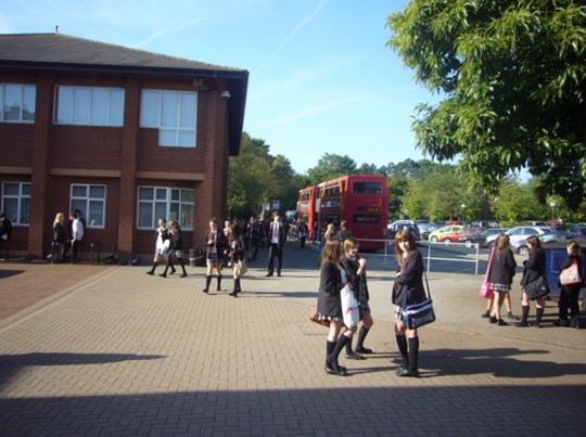 电子pg下载入口