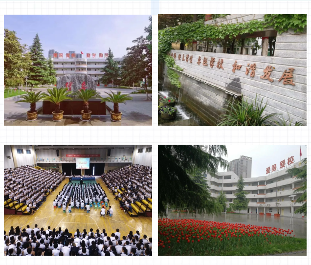 电子pg下载入口