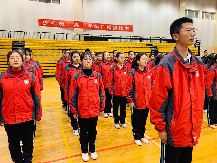 电子pg下载入口