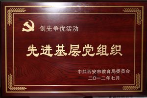 电子pg下载入口