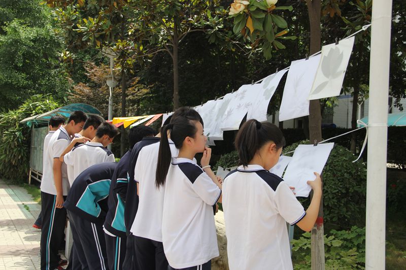 电子pg下载入口