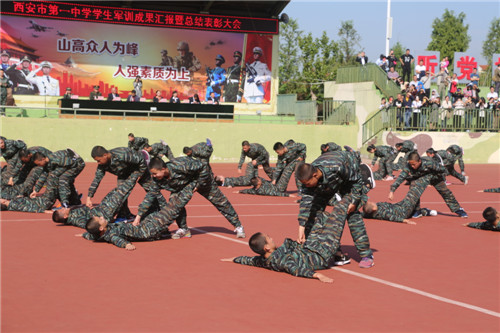 电子pg下载入口